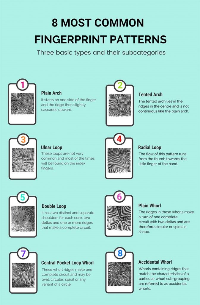 Fingerprinting Merit Badge ⚜️ Requirements, Answers and Guides
