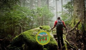 Wilderness Survival Merit Badge Guide