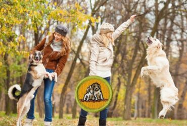 dog care merit badge guide