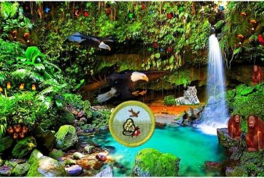 Nature Merit Badge