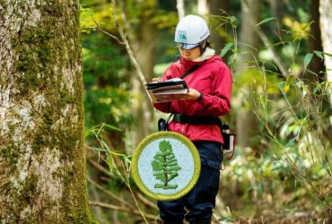 Forestry Merit Badge Guide