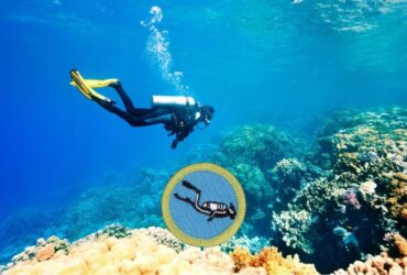 scuba diving merit badge