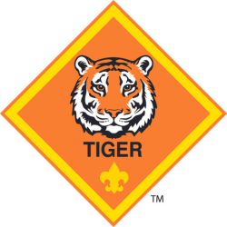 Tiger - First Grade Tiger - First Grade