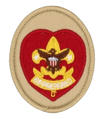 Life Scout BSA Rank Badge Life Scout BSA Rank Badge