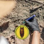 Archaeology Merit Badge