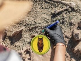 Archaeology Merit Badge