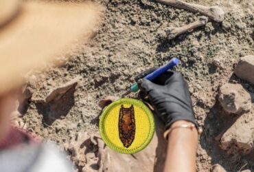 Archaeology Merit Badge