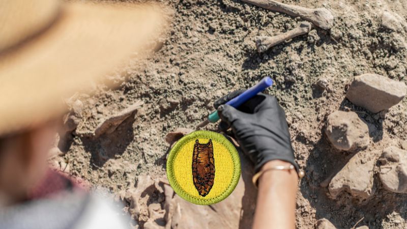 Archaeology Merit Badge