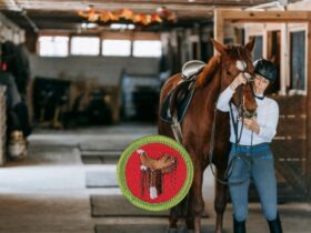Horsemanship Merit Badge