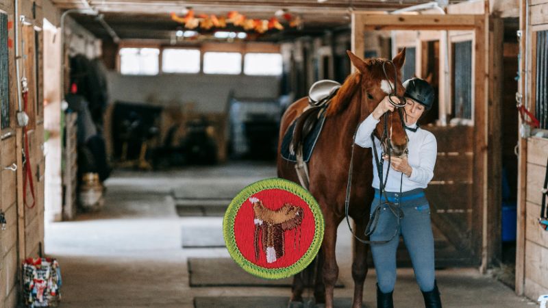 Horsemanship Merit Badge