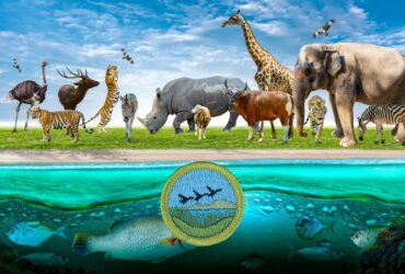 Fish and Wildlife Management Merit Badge