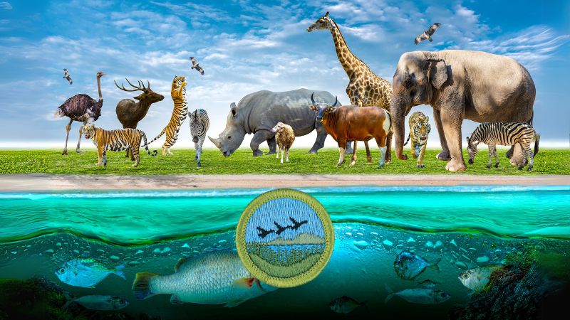 Fish and Wildlife Management Merit Badge