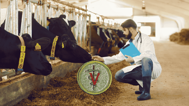 Veterinary Medicine Merit Badge